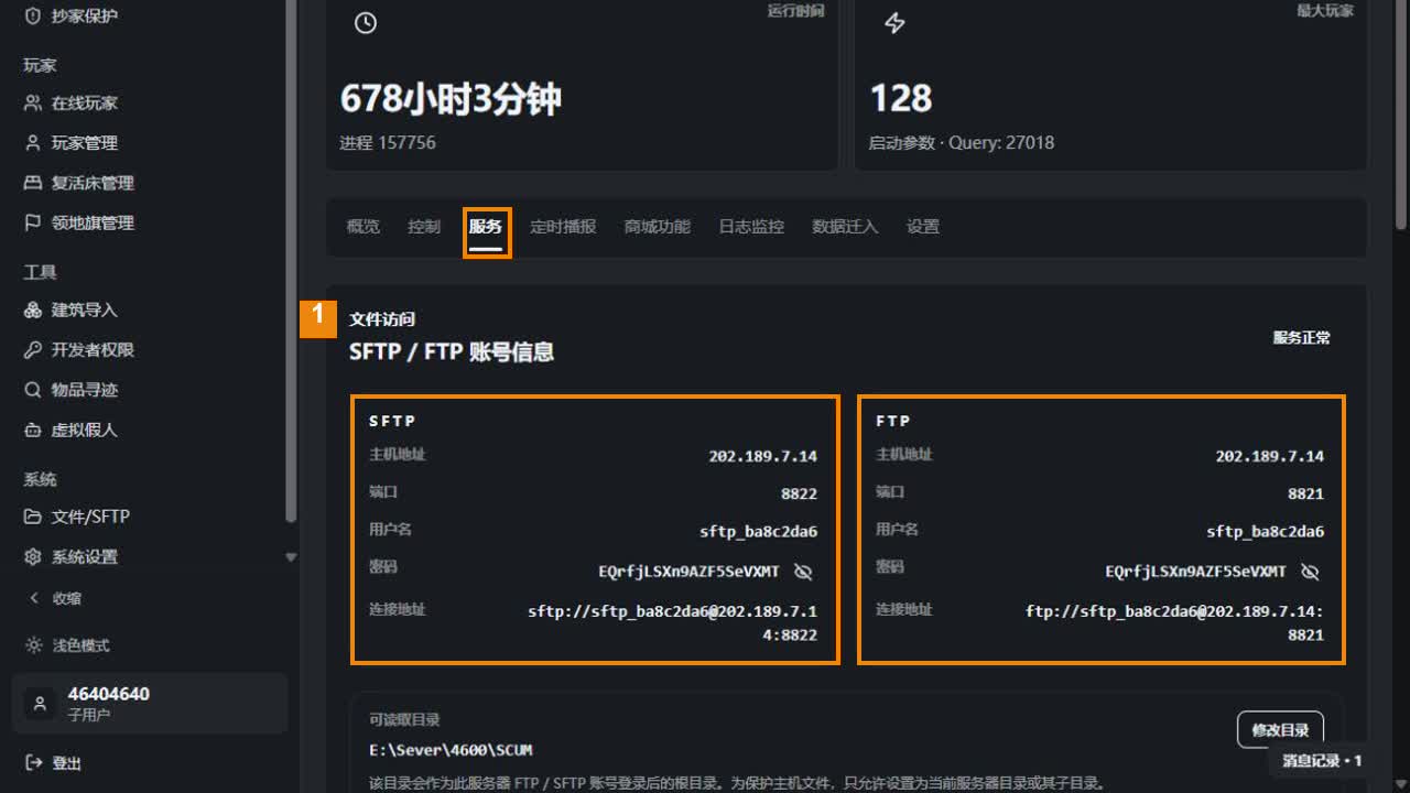 演示面板服务器详情的服务页